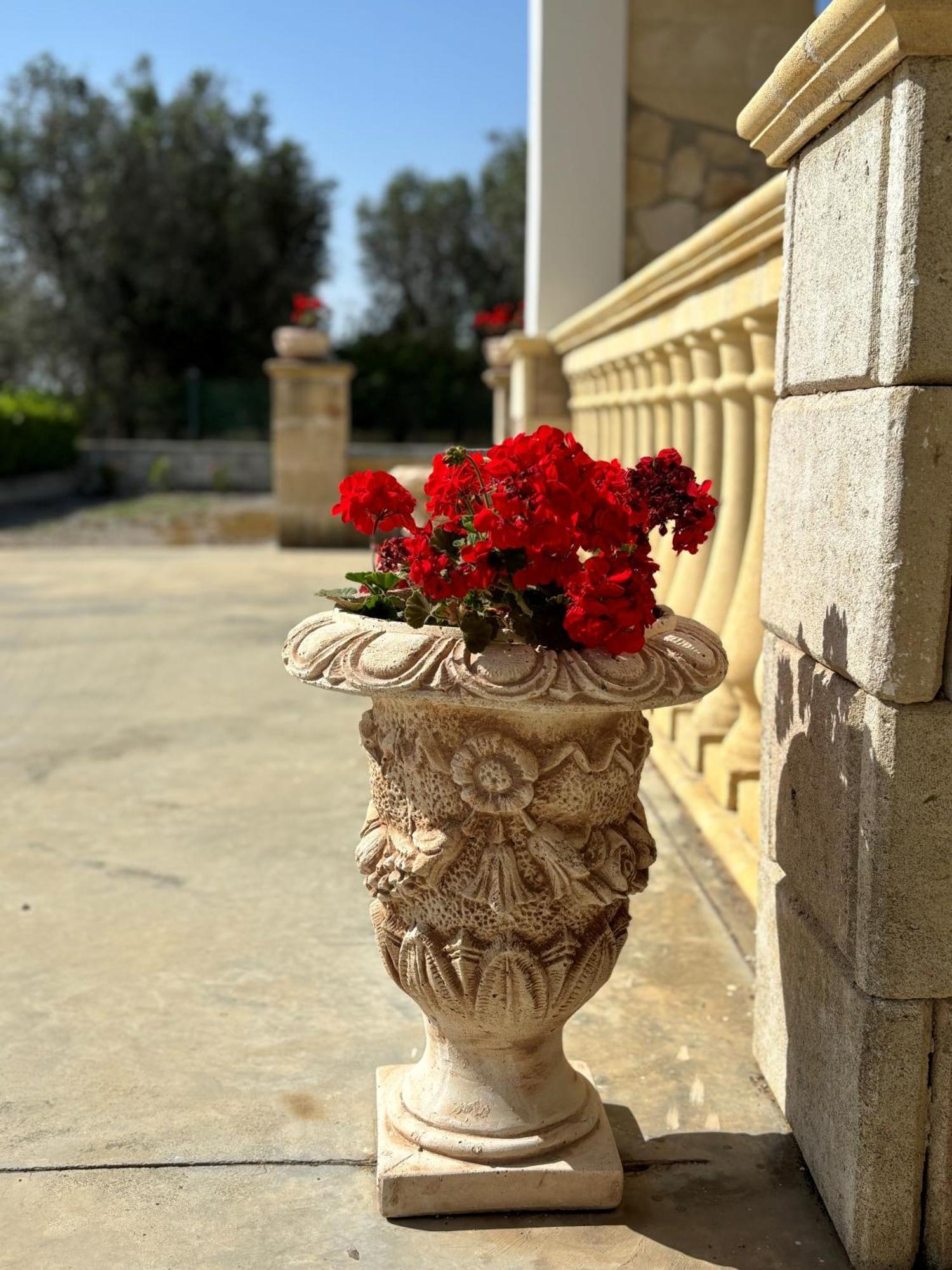 Villa Vita *