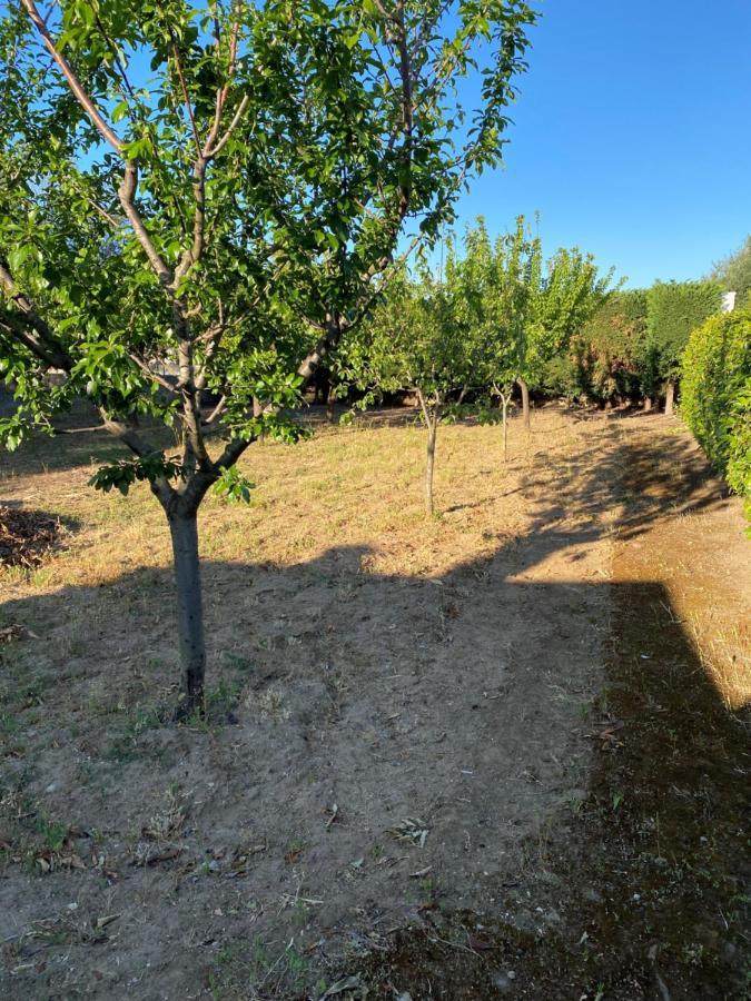 Villa Vita * Oria (Brindisi)